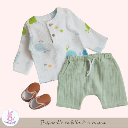 Conjunto Evan