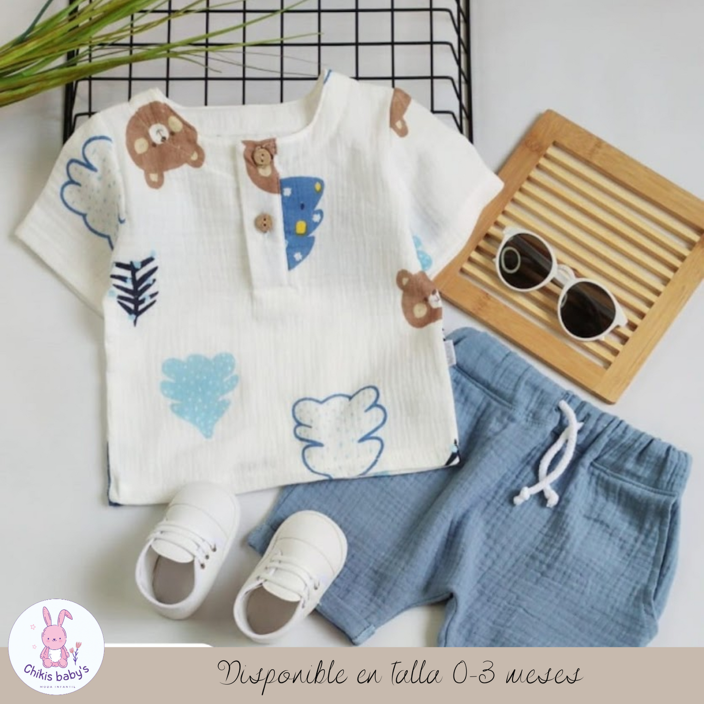 Conjunto Evans